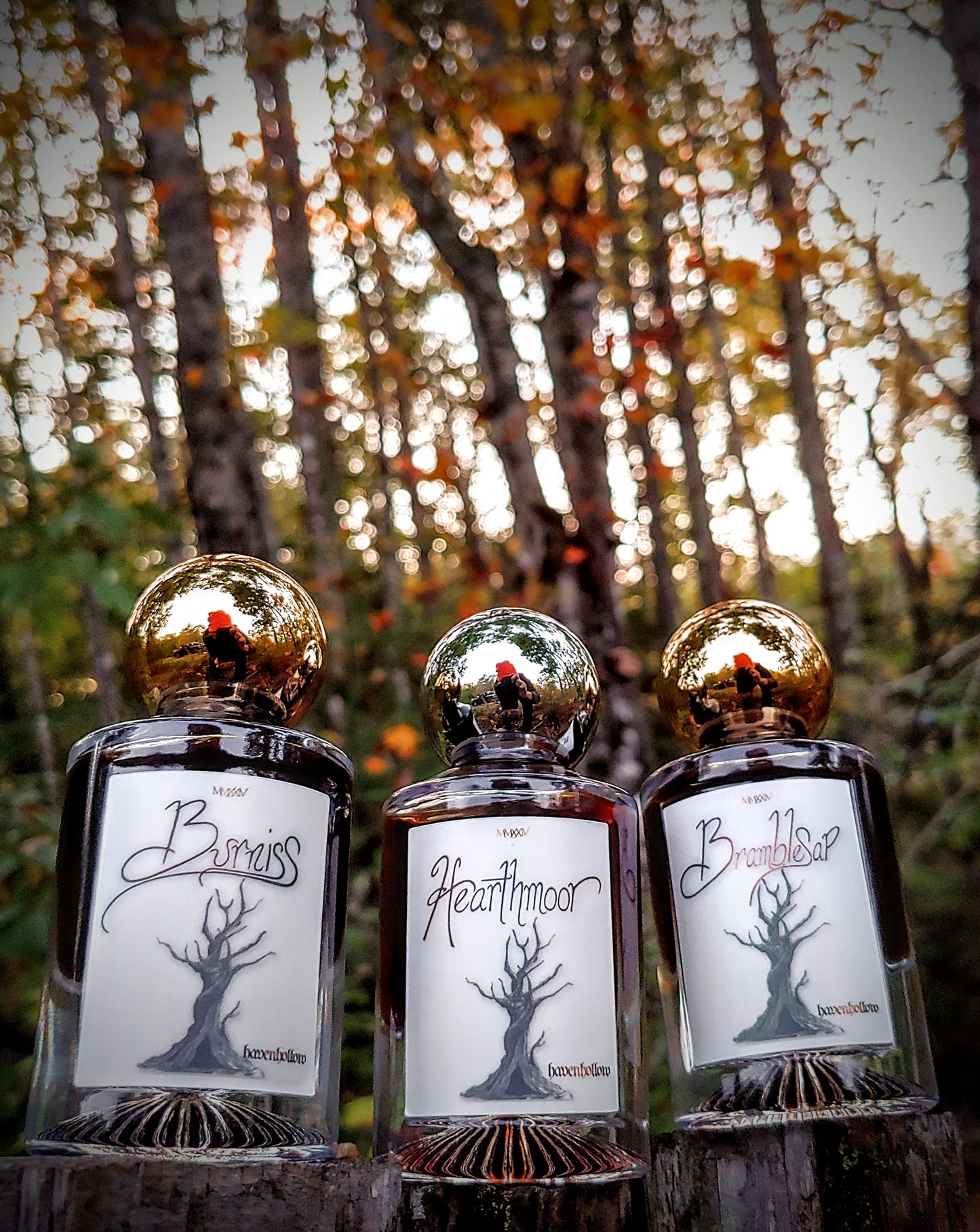 Autumn '24 Trio Set